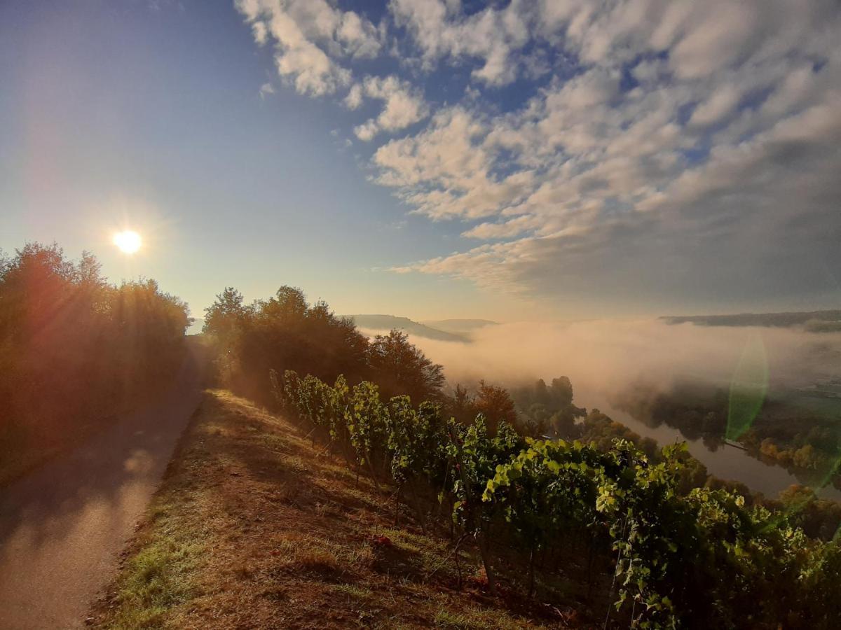 Ferienwohnung Markert - Neben Den Weinbergen Randersacker Exteriér fotografie